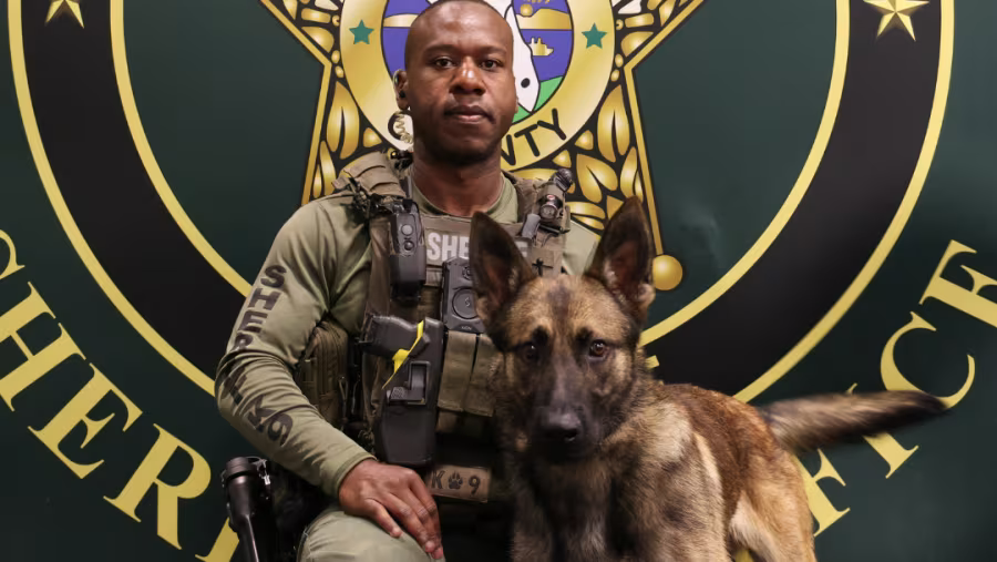 O adjunto principal Marcus Dawson e o K-9 Kyro (Fornecido pelo Gabinete do Xerife do Condado de Flagler)